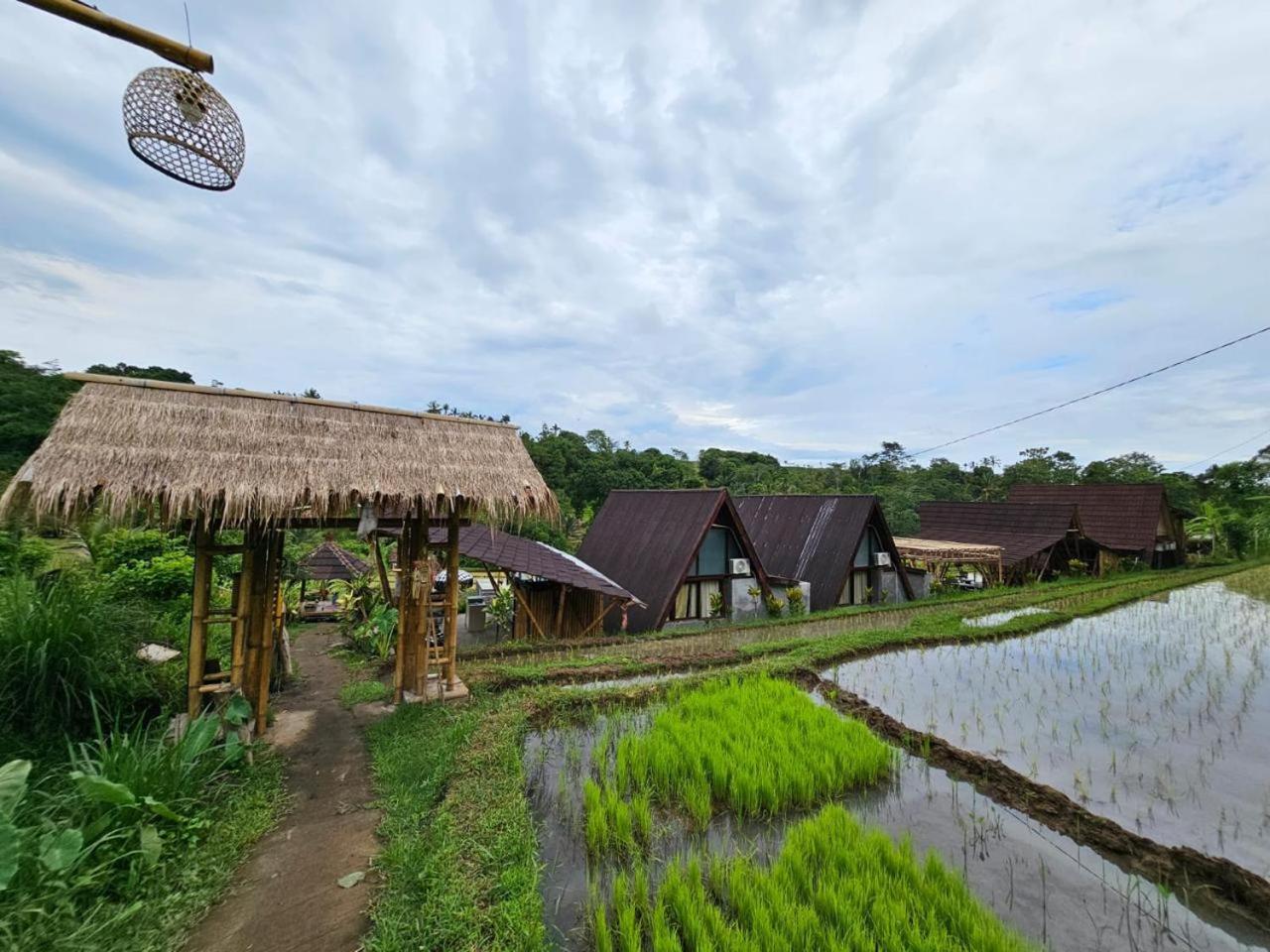 Umauthu Bali Villa Selemadeg Exteriör bild